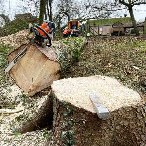 Abattage d'arbres Yvoir