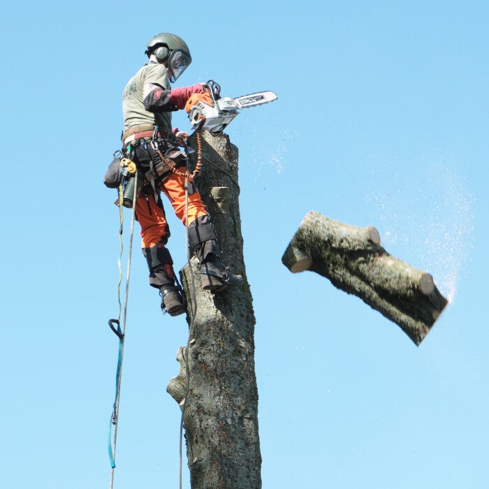 Abattage par démontage à Yvoir