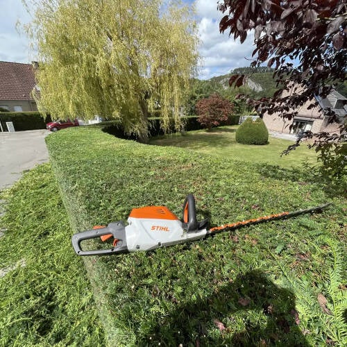 Taille de haie ornementale