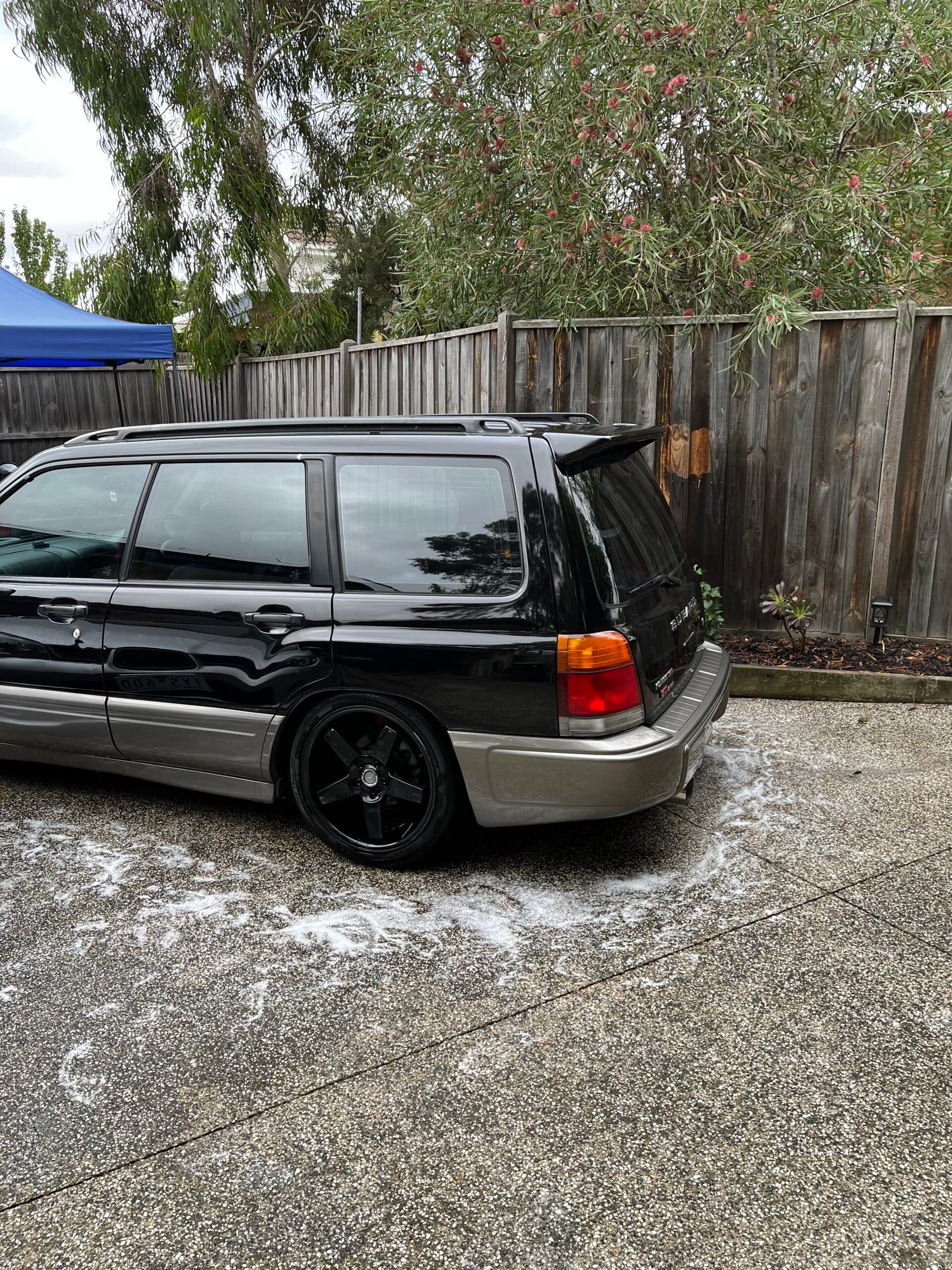 img_5866-standard-zhhya9.jpg