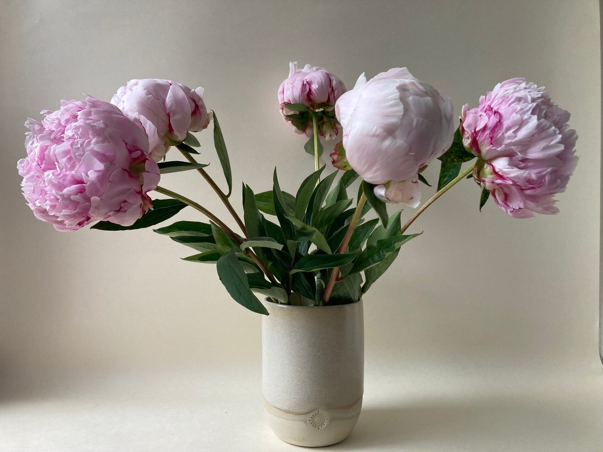 Vaas Iris - spikkel