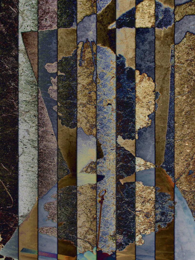  Ursula Etzlinger-Staf / Grafik / Baumfalle / C-Print Mixtechnik