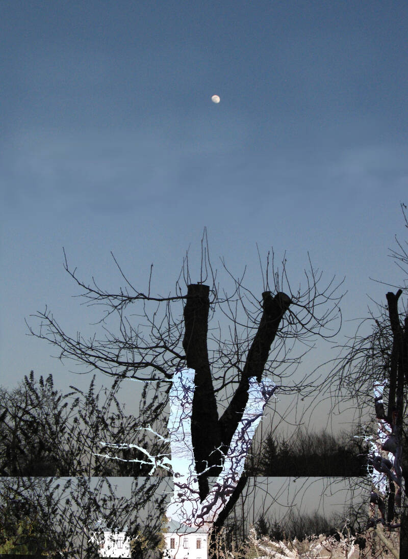 Ursula Etzlinger-Staf / Fotocollage / Schloß Hetzendorf II