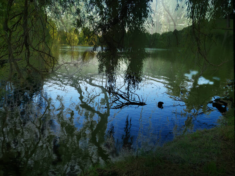 Ursula Etzlinger-Staf / Fotocollage / See