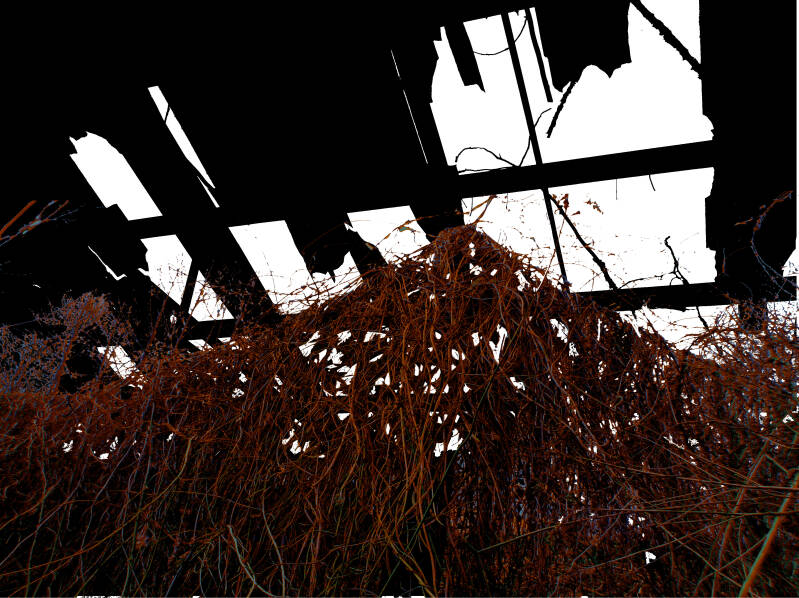 Ursula Etzlinger-Staf / Fotocollage / 