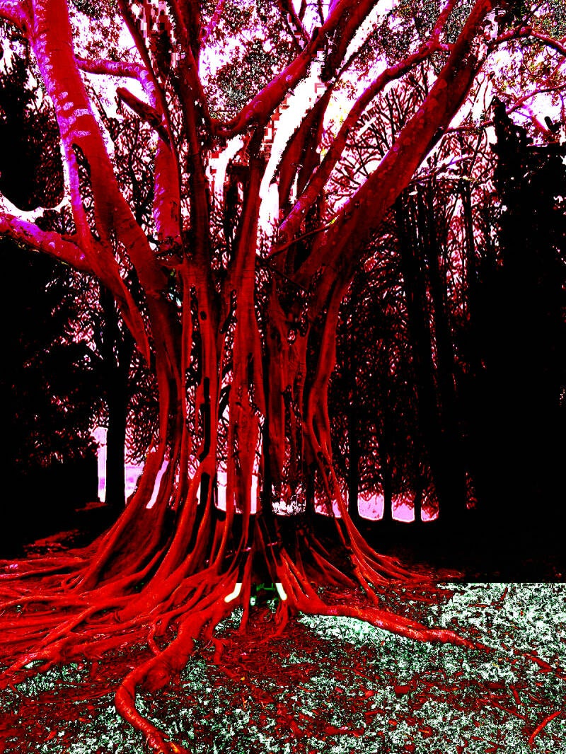 Ursula Etzlinger-Staf / Fotocollage / Transparenz II