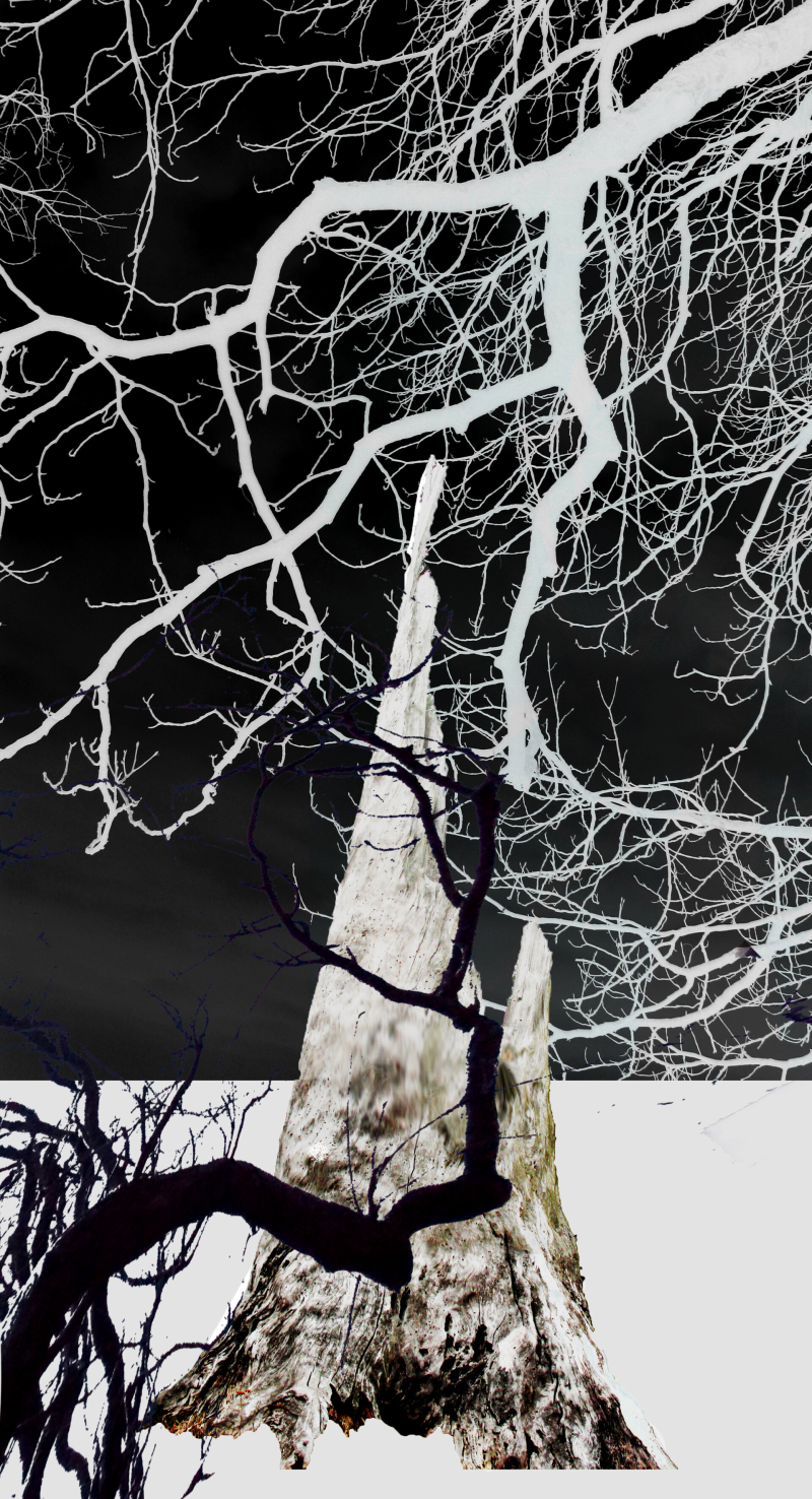 Ursula Etzlinger-Staf / Grafik / Sehnsucht