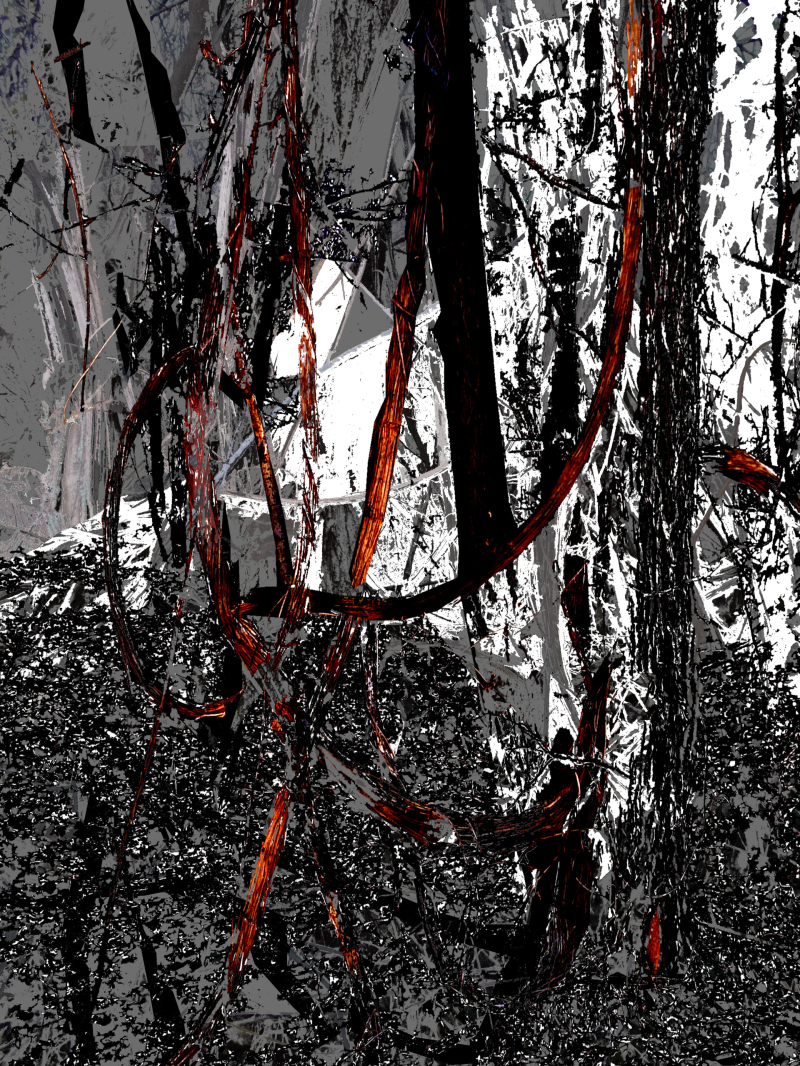 Usula Etzlinger-Staf / Grafik / Traumwald