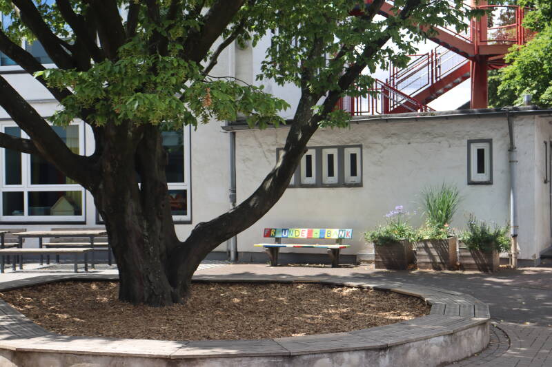 Baum mit Sitzgelegenheit und Bank