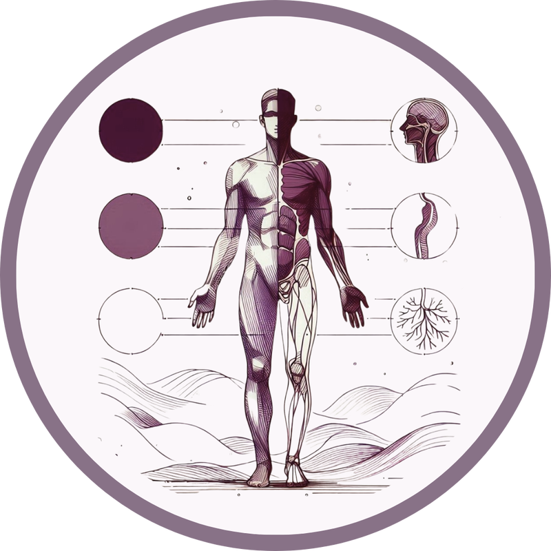 Nik-Ki  Sprituele anatomy Spirituele betekenis lichaamsdelen www.Spiritueelbewust.com www.Nik-Ki.com