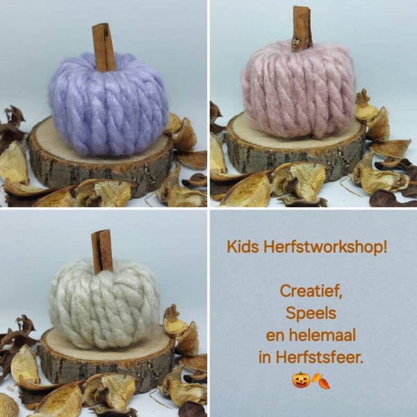 Workshop voor Kids - pompoen maken