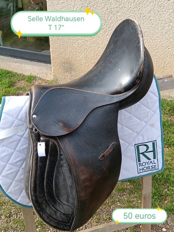 Selle Waldhausen
