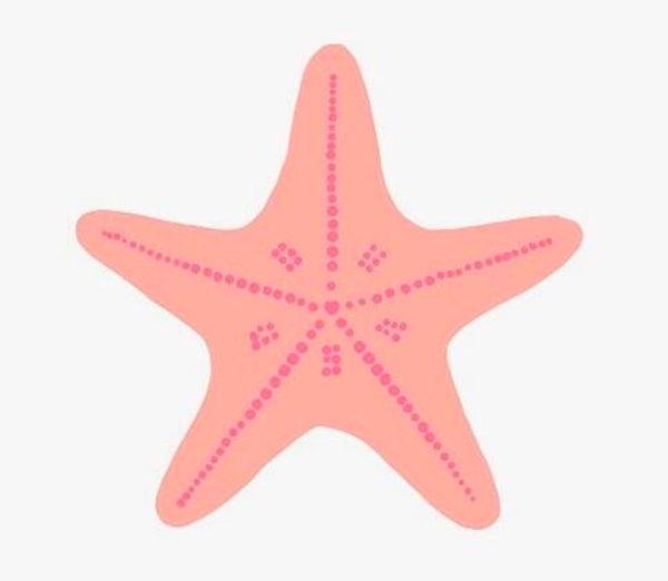 Sticker stella