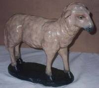 sintniek-schaap2-standard.jpg