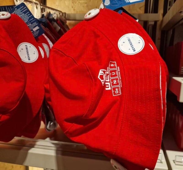 Bob WEB bucket hat - disneyland paris