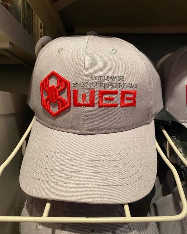 WEB cap grey adults - disneyland paris