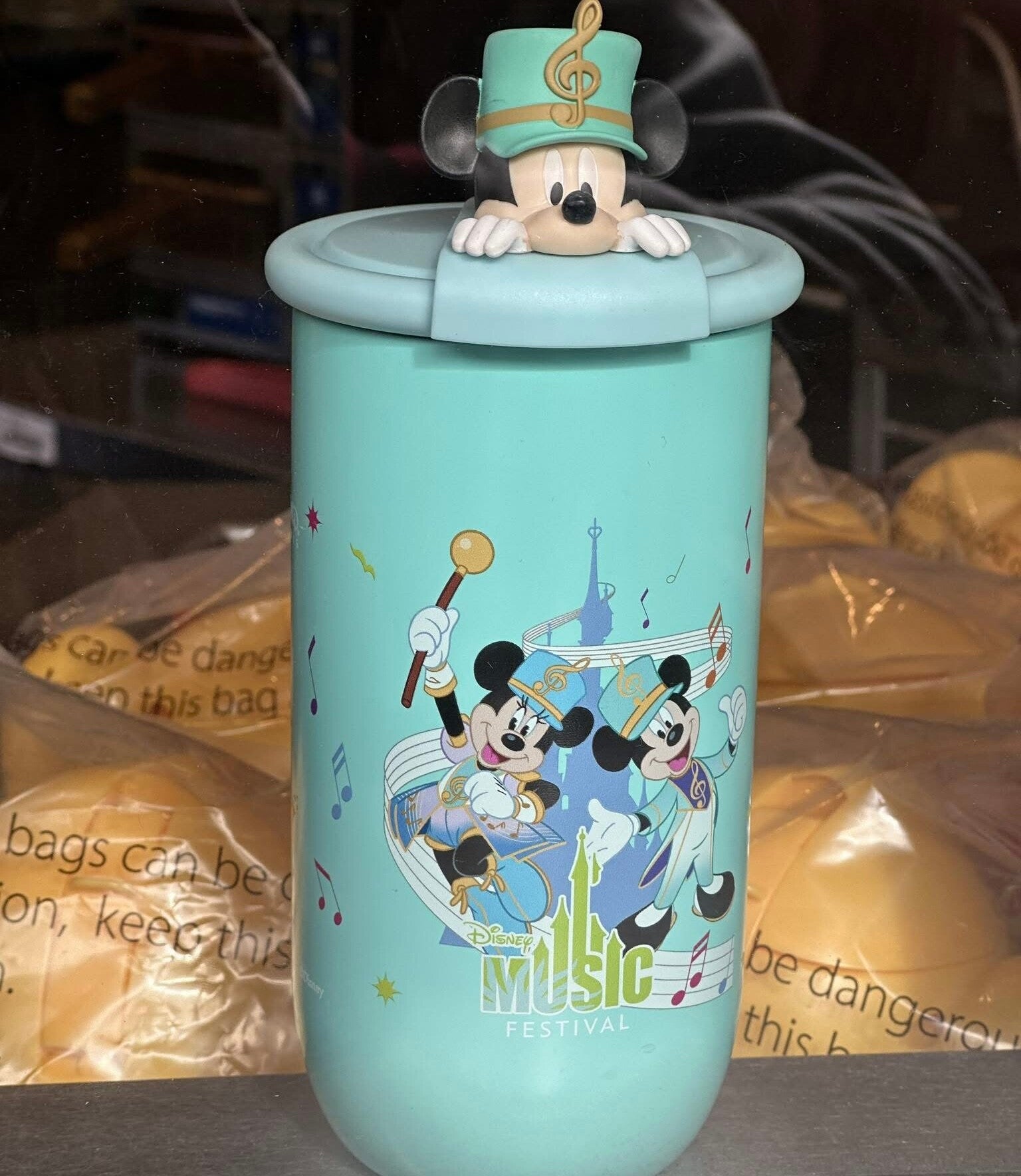 Tumbler - Music festival - Disneyland Paris