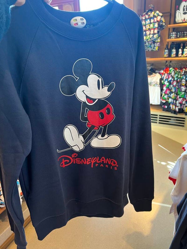 Disneyland logo vintage blue sweater - Disneyland paris