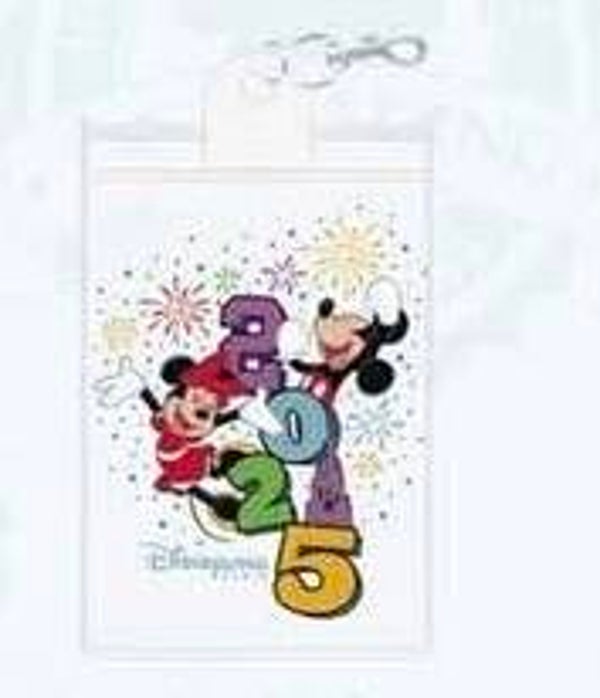 Lanyard bag 2025 - January - Disneyland Paris