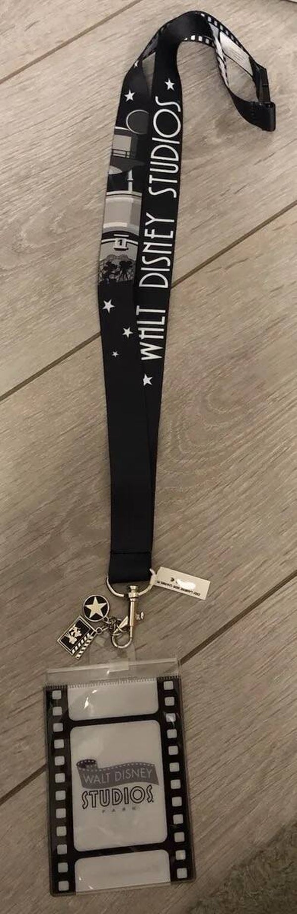 Walt Disney Studio’s Lanyard