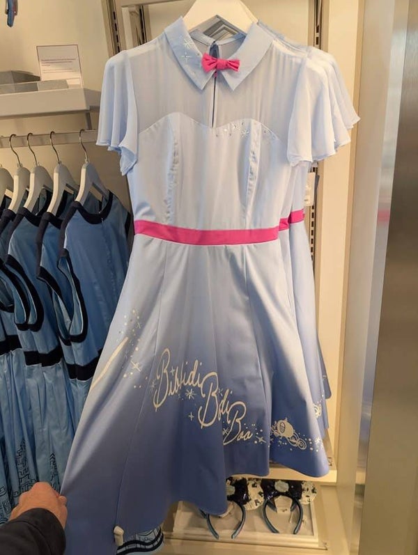 Cinderella - fairy godmother - adults - Disneyland Paris