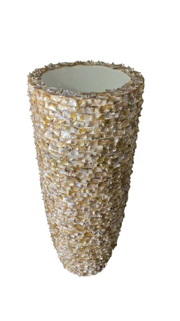 Schelpenvaas Tooth Shell ivoor wit kleur