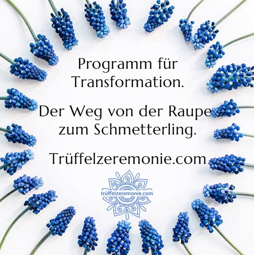 Programm für Transformation Trüffelzeremonie.com