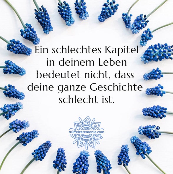 Ein schlechtes Kapitel in deinem Leben bedeutet nicht, dass deine ganze Geschichte schlecht ist