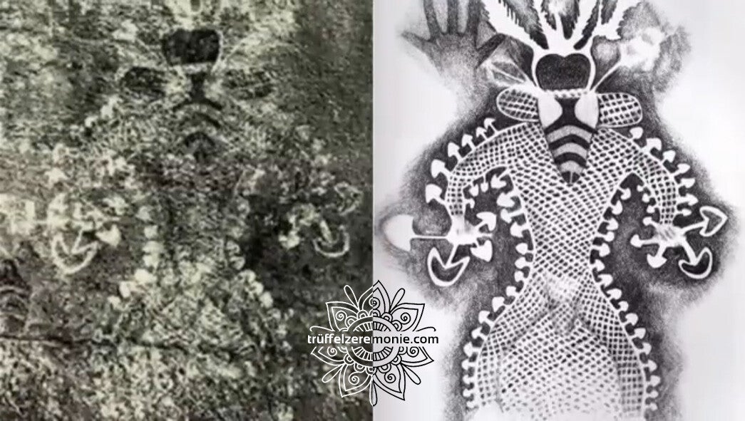 Azteken- und Maya-Höhlenzeichnungen von Psychedelika - Trüffelzeremonie.com