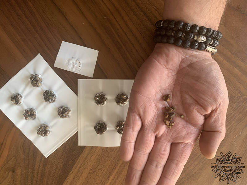 Microdoseren met truffels volgens Truffelceremonie.com