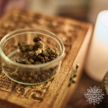 Psychedelische Trüffel in einem Behälter für Trüffelzeremonie.com