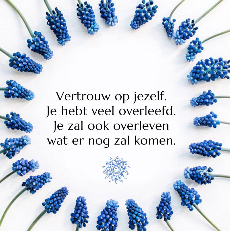 Vertrouw op jezelf. Je hebt veel overleefd. Je zal ook overleven wat er nog zal komen.