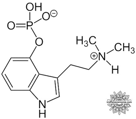 De chemische formule van psilocybine door truffelceremonie.com