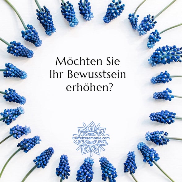 Möchten Sie Ihr Bewusstsein erhöhen?