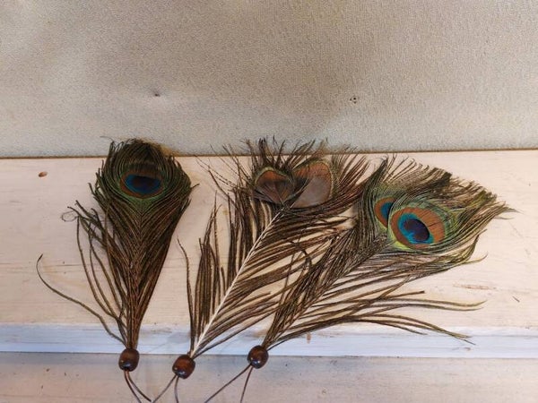 • 3 pauwverenhangers