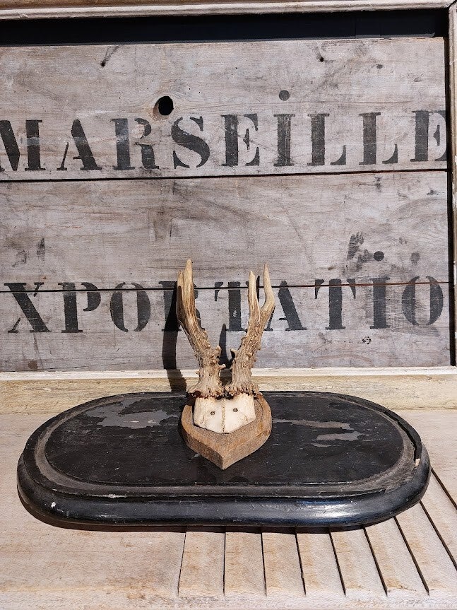 ◘ Houten stolp onderzetter