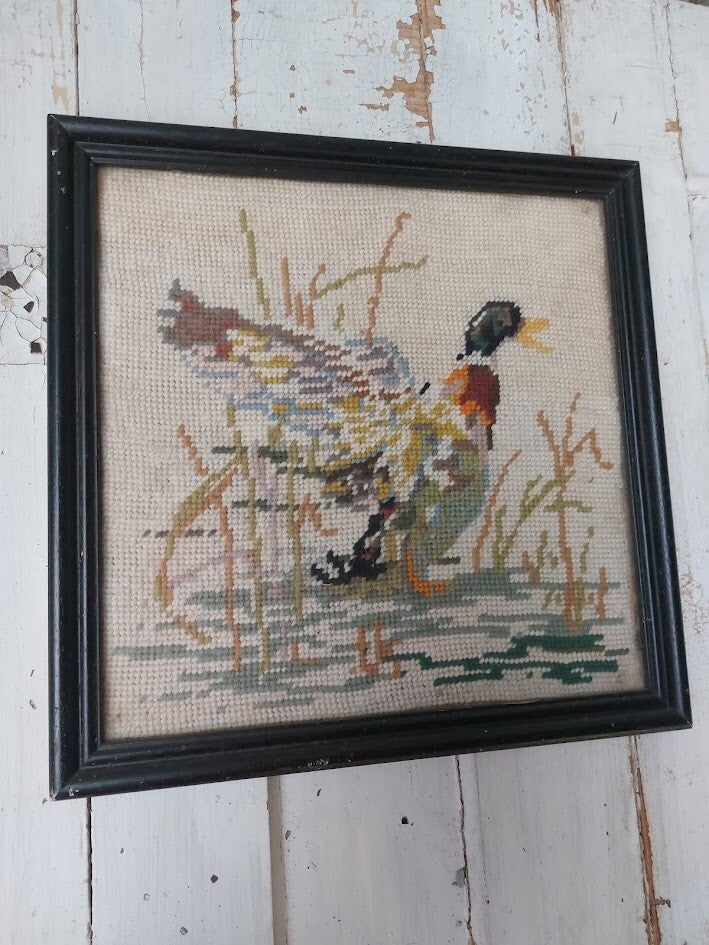 ♫ Wilde eend in lijst