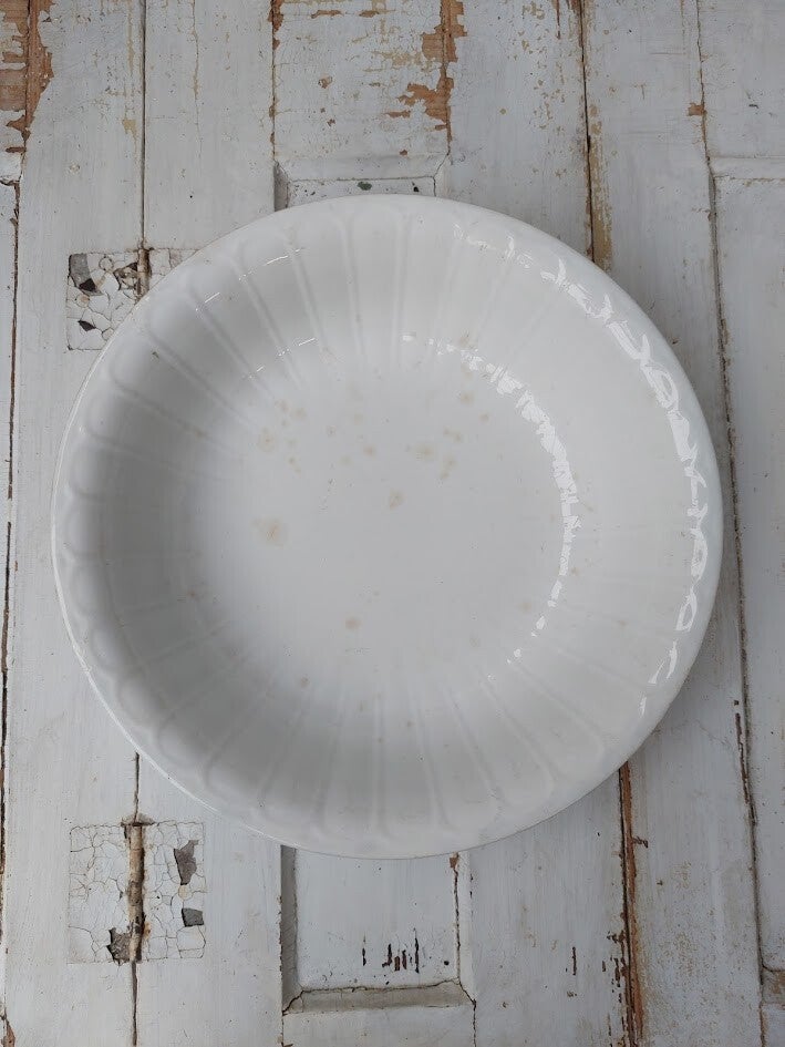 ♠ Oude schaal geribbeld