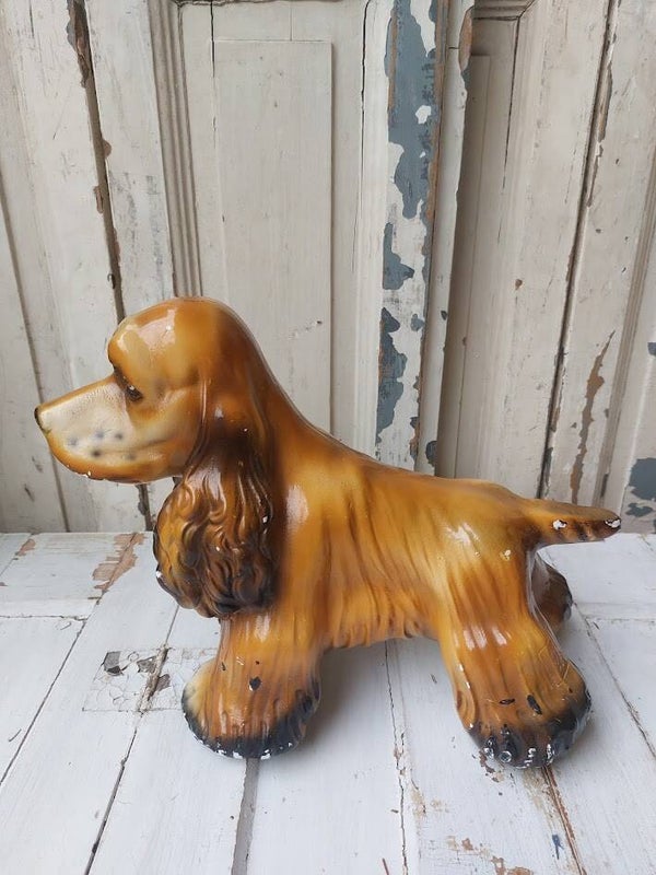 ♫ Cocker Spaniël hondenbeeld