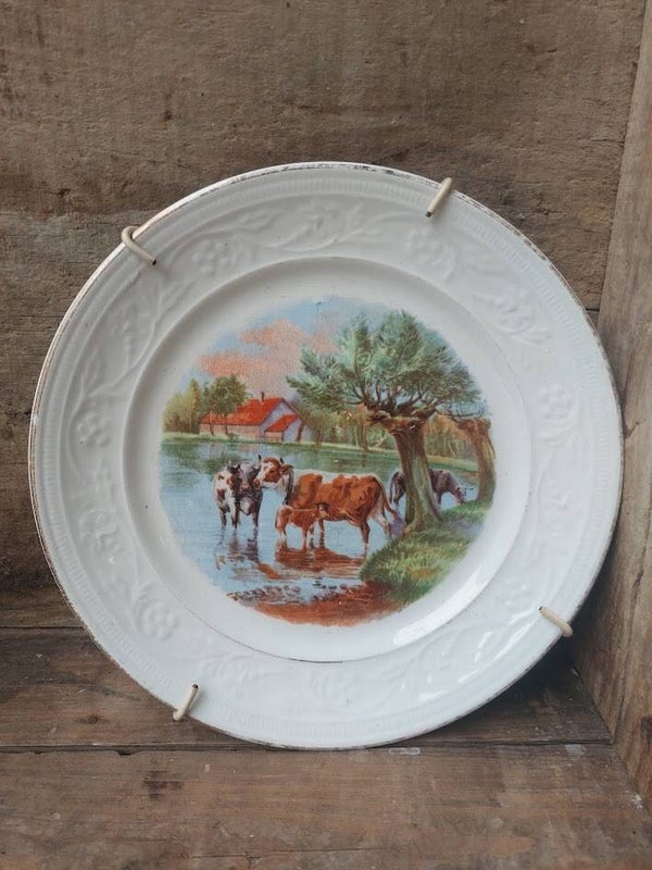 ☻ Petrus Regout wandbord