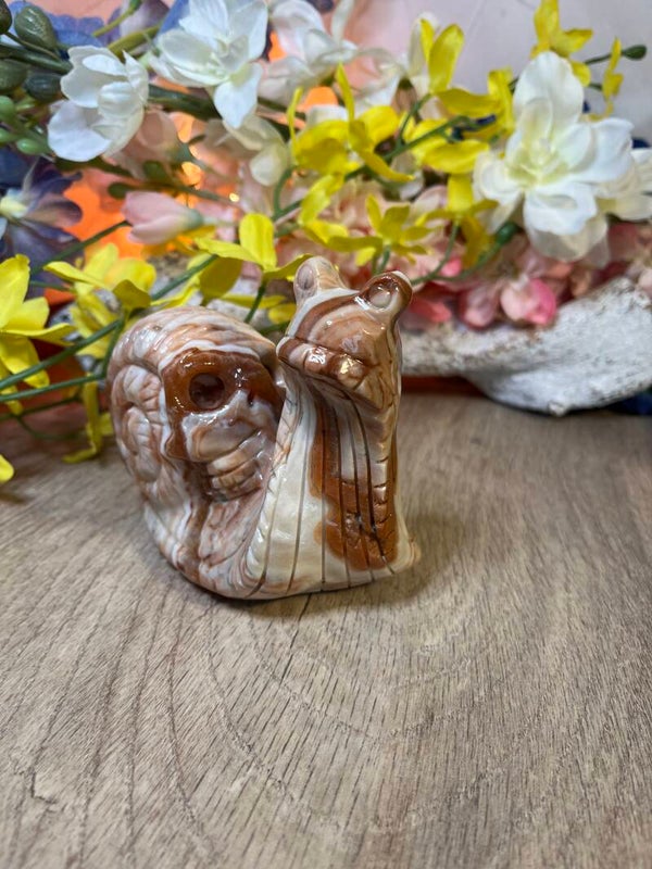 Skull op een slak Jade