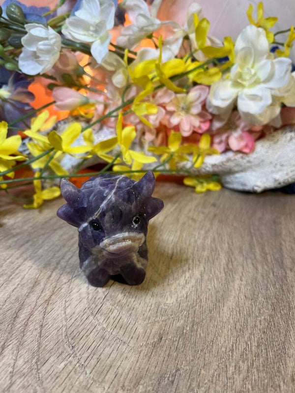 Ierse koeien Amethist