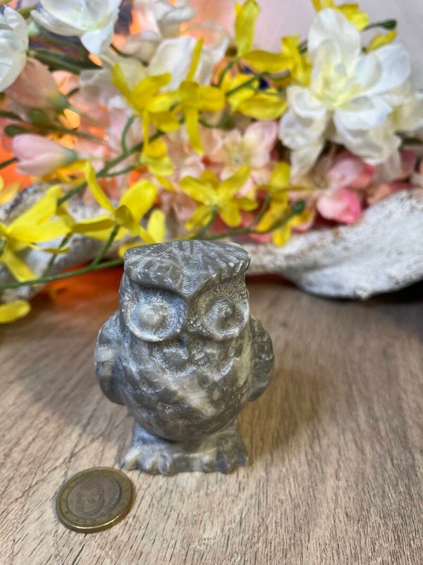 UIl in schelpen Fosiel