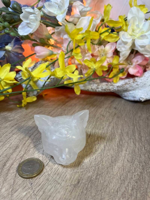 Kat met 3e oog berg kristal