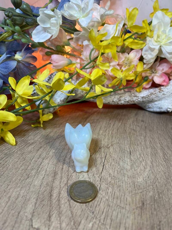 9 staarten vos opaliet klein