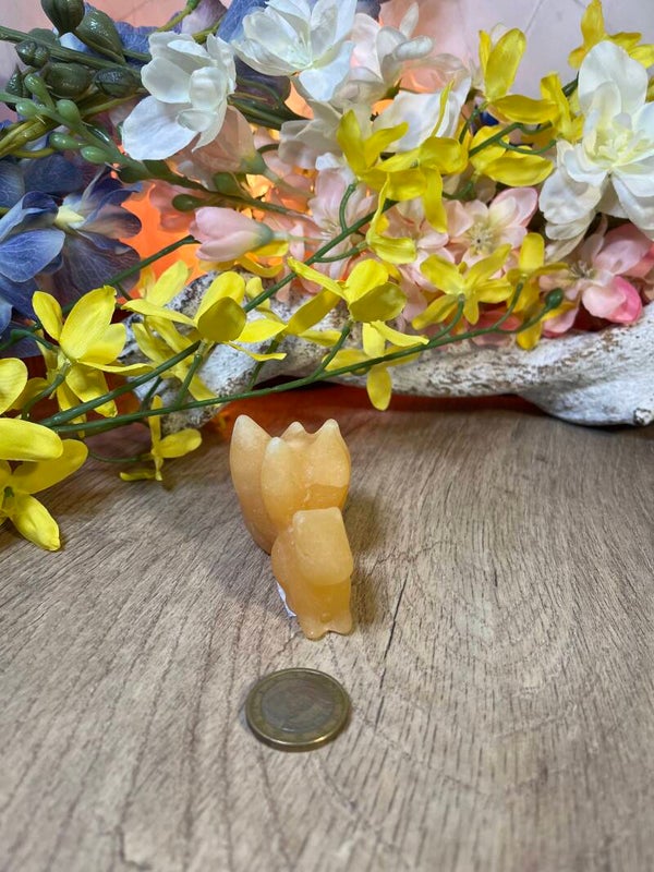 9 staarten vos calciet