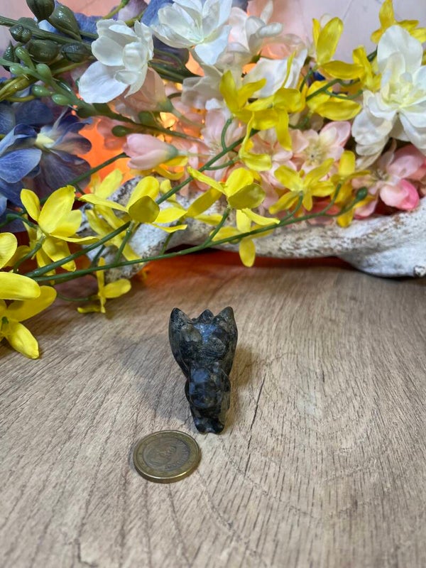 9 staarten vos Que Sera Steen (Royoliet)