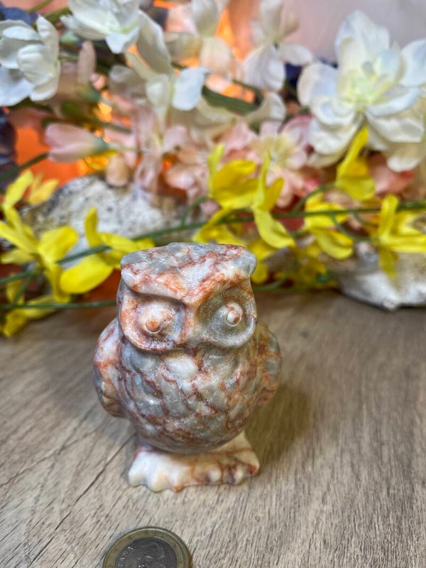 uil uit jaspis met aders