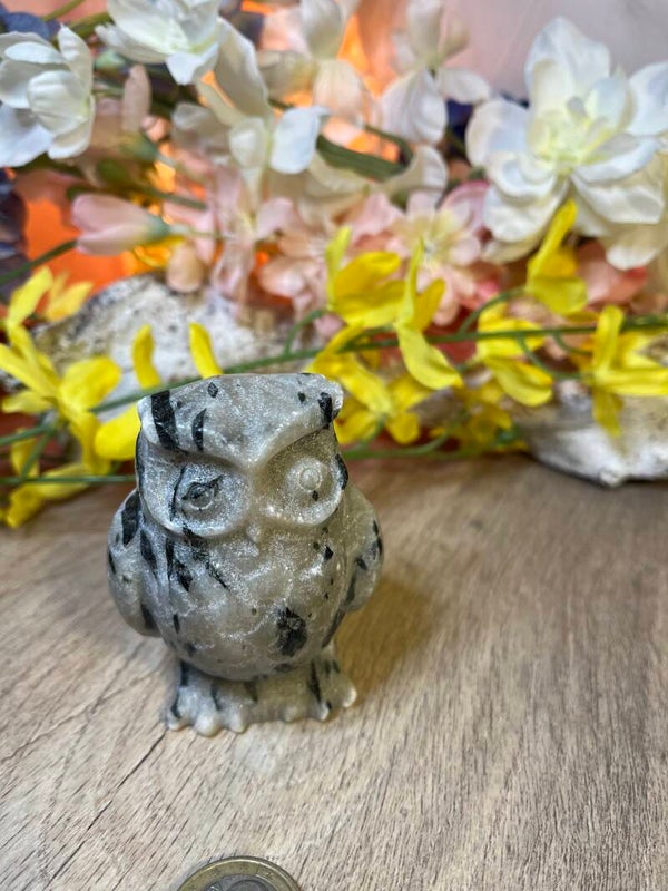 uil uit toermalijnkwarts