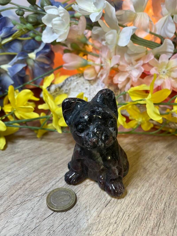 Buldog uit granaat